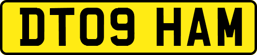 DT09HAM