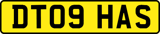 DT09HAS