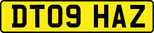 DT09HAZ