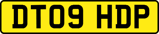 DT09HDP