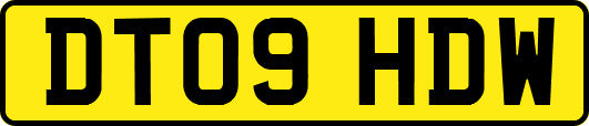 DT09HDW