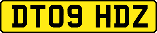 DT09HDZ
