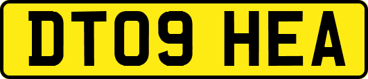 DT09HEA