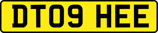 DT09HEE