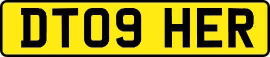 DT09HER