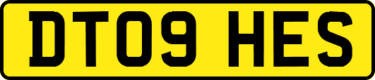 DT09HES