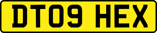 DT09HEX