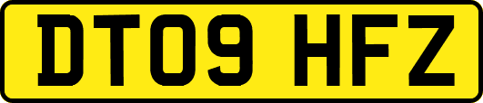 DT09HFZ