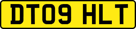 DT09HLT