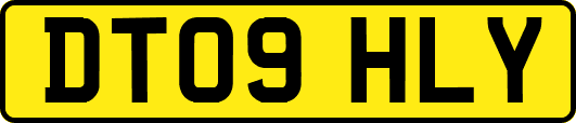 DT09HLY