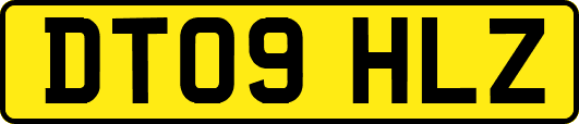 DT09HLZ