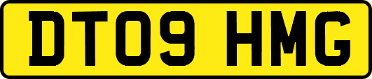 DT09HMG