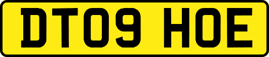 DT09HOE