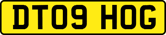DT09HOG