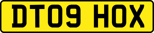 DT09HOX