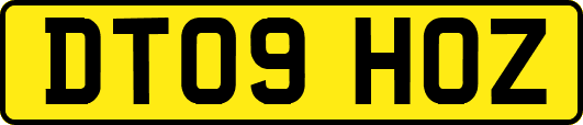 DT09HOZ