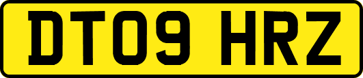 DT09HRZ
