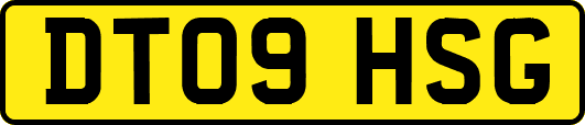 DT09HSG
