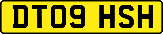 DT09HSH