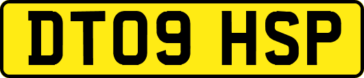 DT09HSP