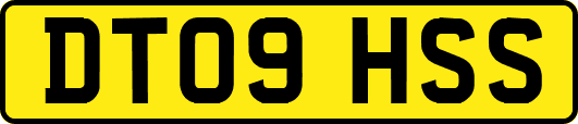 DT09HSS