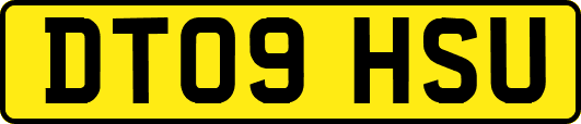 DT09HSU