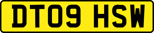 DT09HSW