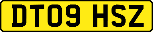 DT09HSZ