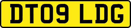 DT09LDG