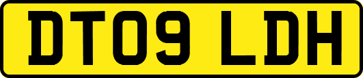 DT09LDH