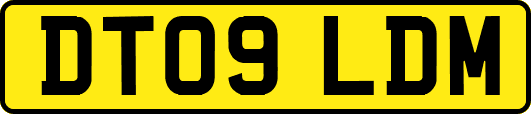 DT09LDM