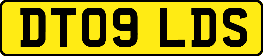 DT09LDS