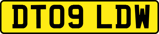 DT09LDW