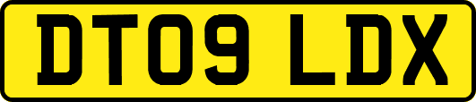 DT09LDX