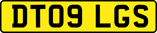 DT09LGS