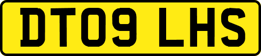 DT09LHS