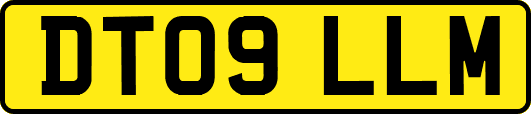 DT09LLM