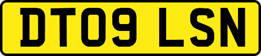 DT09LSN