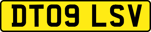DT09LSV