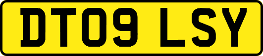 DT09LSY