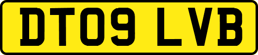 DT09LVB