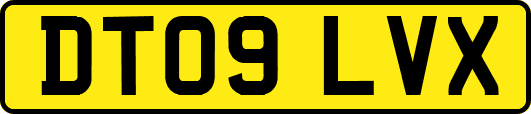 DT09LVX
