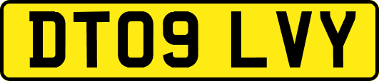 DT09LVY