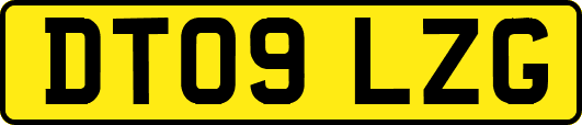 DT09LZG