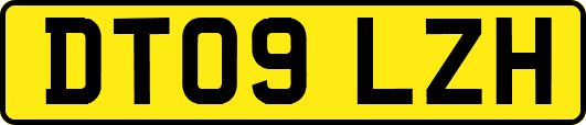 DT09LZH