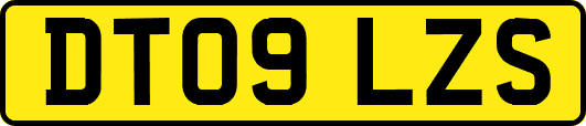 DT09LZS