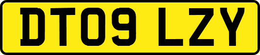 DT09LZY
