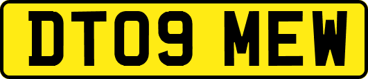 DT09MEW