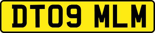 DT09MLM