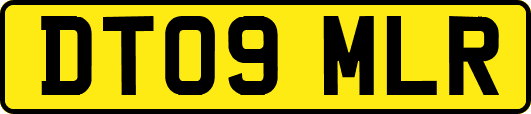 DT09MLR
